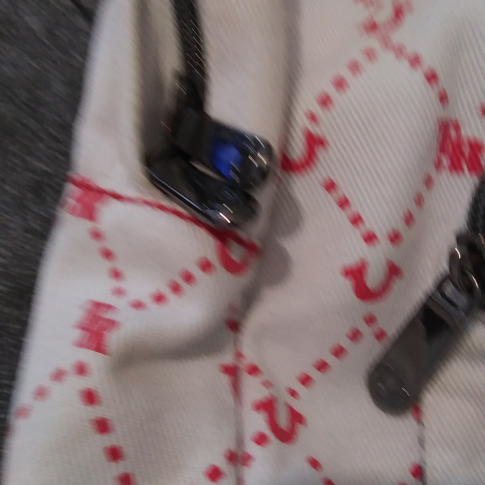 True Religion Back Pack - Picture 3 of 4
